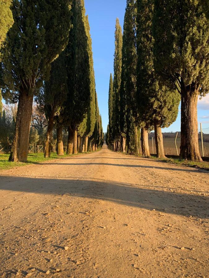 Podere La Casa Villa d'Arceno Exteriér fotografie