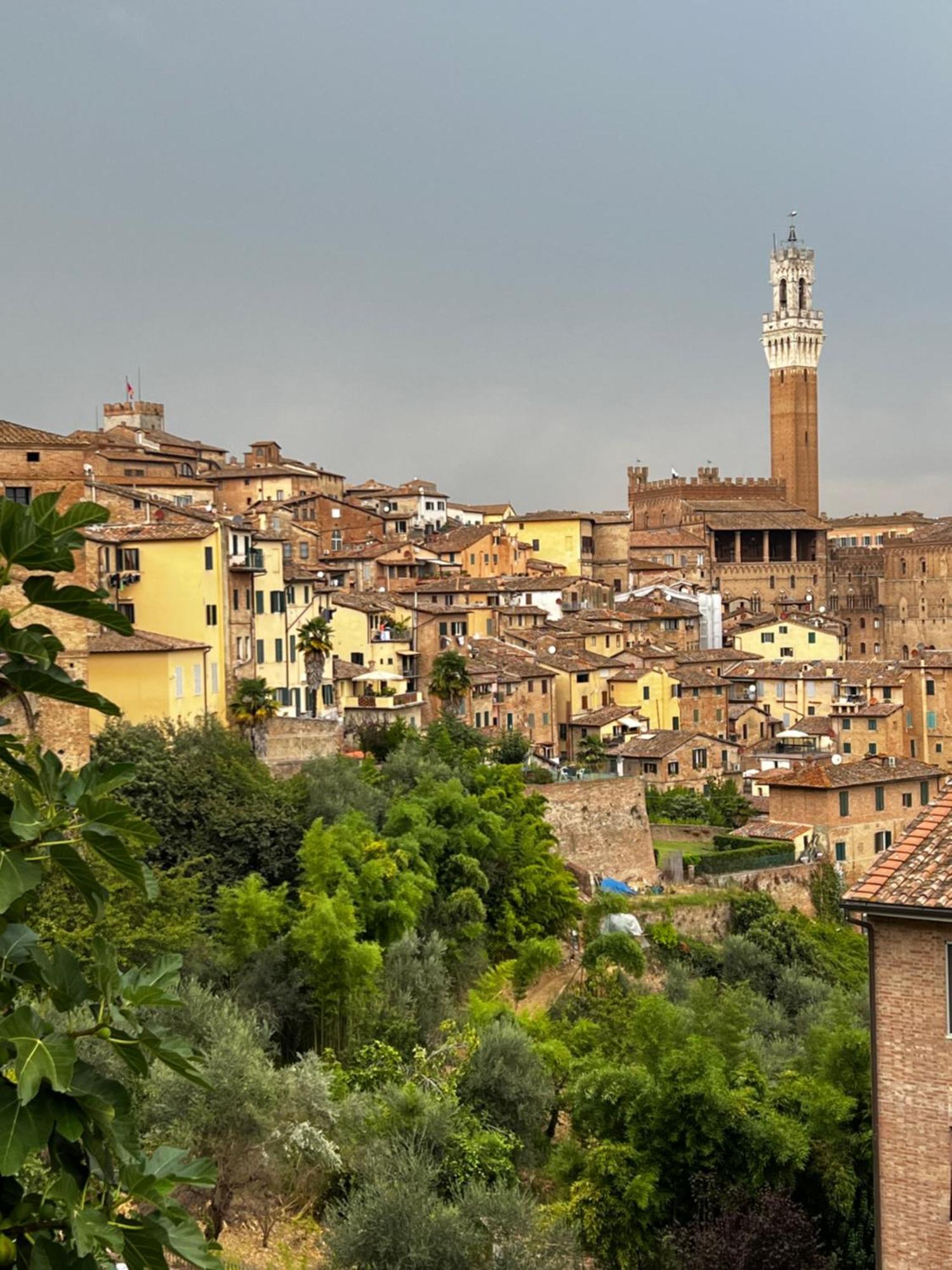 Podere La Casa Villa d'Arceno Exteriér fotografie